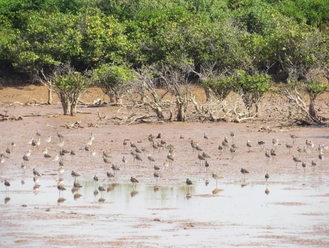 Viet Nam contributes 15 of 69 ASEAN Heritage Parks